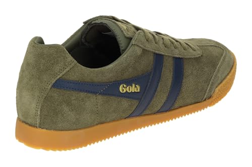Image of Gola Harrier