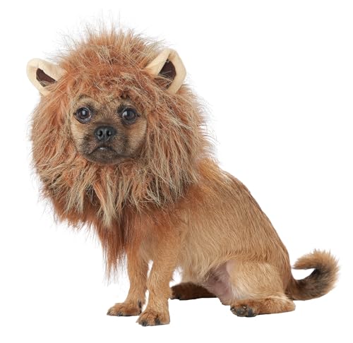 California Costumes, King of the Jungle - Lion, Dog Costume Small