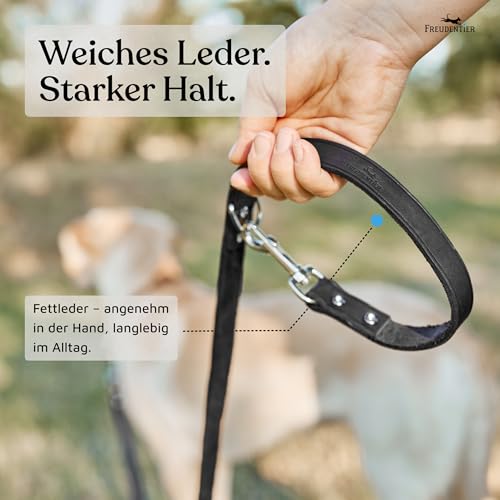 FREUDENTIER Hundeleine Leder 2m - Lederleine verstellbar - Führleine aus Fettleder für kleine, mittelgroße & große Hunde - Alsterufer Kollektion (Midnight, 16mm breit)