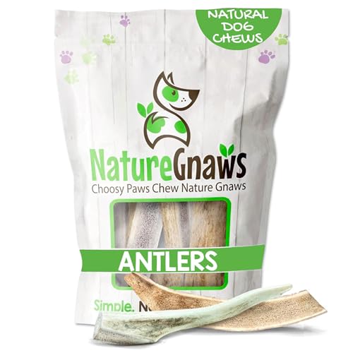 Nature Gnaws Antlers for Dogs (8oz) - Mix of Elk and Deer Antler - Variety of Split and Whole Pieces - Long Lasting for Aggressive Chewers and Large Dogs