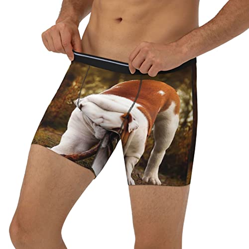 Men's Underwear, Bulldog Biting a Branch Men's Boxer Briefs, Soft Comfortable Underwear Boxer Shorts3