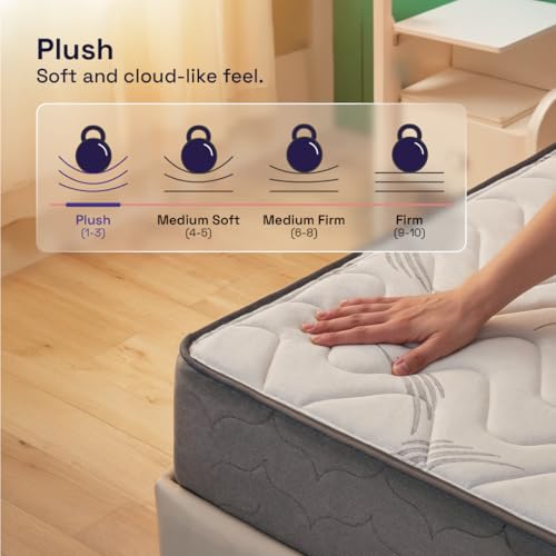 Image of Wakefit Elevate Pocket Spring Mattress with Memory Foam | 10 Years Warranty | Mattress Single Bed, 6-Inch Bed Mattress, Single Size (70x30x6 Inches, Medium Soft & Bouncy)