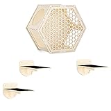DETALLES: Recibirás 1x estante hexagonal y 3x escalón. Los escalones miden 25 x 12 x 12 cm y la balda hexagonal mide 42 x 36 x 22 cm. Están hechos de madera contrachapada y pesan 2,2 kg.