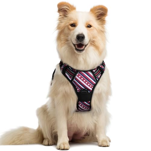 Image of rabbitgoo Dog Harness No Pull with 2 Leash Clips, Adjustable Soft Padded, Reflective Oxford No Choke Pet Vest with Easy Control Handle for Large Dogs, Red Stripe, M