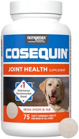 Nutramax Cosequin DS Plus MSM Chewable Tablets for Dogs