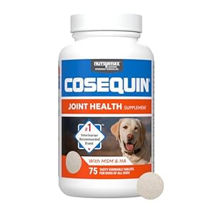 Nutramax Laboratories Cosequin Maximum Strength Joint Health Supplement for Dogs – With Glucosamine, Chondroitin, MSM, and Hyaluronic Acid, 75 Chewable Tablets (Pack of 1)