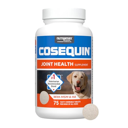 Nutramax Laboratories Cosequin Maximum Strength Joint Health Supplement for Dogs – With Glucosamine, Chondroitin, MSM, and Hyaluronic Acid, 75 Chewable Tablets (Pack of 1)