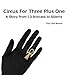 Circus For Three Plus One: A short story from 13 Boxcars to Siberia (English Edition)
