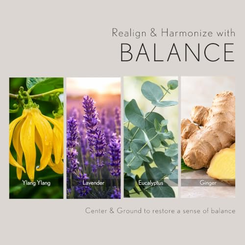 Image of TARA Spa Therapy Balance Massage Oil - Premium Organic Oil for Relaxation & Stress Relief, 100% Pure Essential Oils, Ylang Ylang, Orange & Vetiver, 4 oz