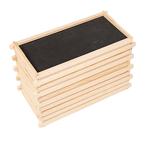 BeeTech 10-Pack Deep Brood Box Wooden Beehive Frames and 100% Bee...
