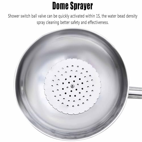 Station de Douche oculaire d'urgence, système de Douche de sécurité en Acier Inoxydable avec Plaque de Commande, kit de Lavage oculaire intégré, entrée Unique