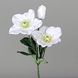 Seidenblumen Roß