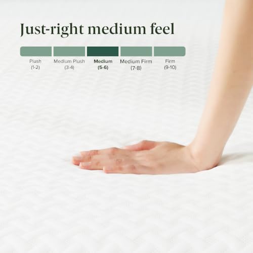 Image of Zinus 8 Inch Green Tea Essential Memory Foam Mattress [New Version], Queen, Fiberglass Free, Medium Feel, Breathable Airflow Memory Foam, Certified Safe Foams & Fabric, Mattress in A Box