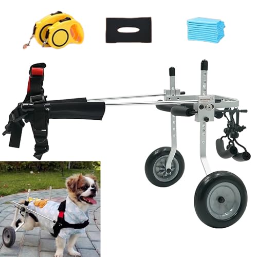 Voiture de marche assistée avec roues pour petit chien handicapé
