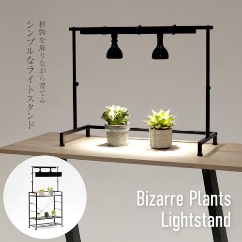BIBILAB(ビビラボ) ビザールプランツライトスタンド LPS-800-BK の商品画像 1