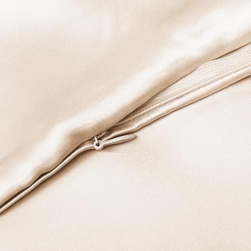 townssilk Federa di seta,100% naturale seta di gelso 19momme,doppia faccia,benefica per capelli e pelle,federa seta cuscino,ipoallergenica,cerniera nascosta,600 fili,1 pz,40x70cm,Tortora