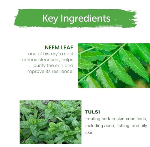 Image of Khadi 100% Pure Herbal Ayurvedic Natural Khadi Natural Neem & Tulsi Herbal Face Wash 400ml pack of 2