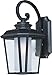 Maxim 85664CDFTBO Radcliffe EE 1-Light Medium Outdoor Wall, Black Oxide Finish, Seedy/Frosted Glass, GU24 Fluorescent Fluorescent Bulb , 32W Max., Damp Safety Rating, 3000K Color Temp, Standard Triac/Lutron? or Leviton Dimmable, Glass Shade Material, 1760 Rated Lumens