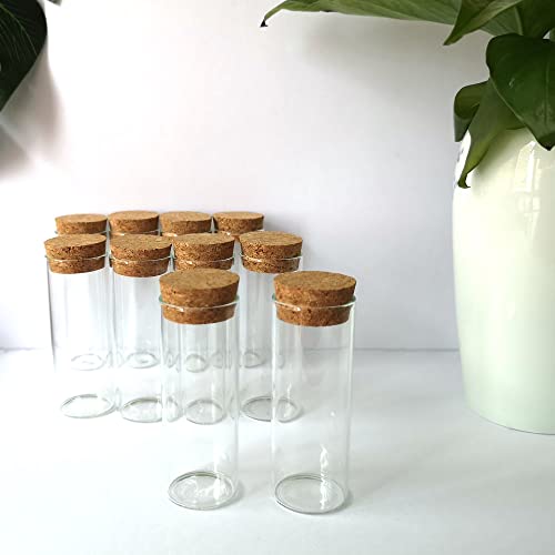 Fioles en verre de 40 ml pour conserver vos échantillons de laboratoire et épices - 6