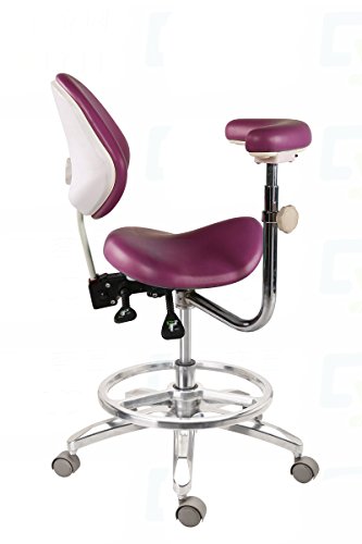 Aphrodite Dental Deluxe Mobile Saddle Chair Pu Leather Assistant Doctor Stools High End By Purple-Violet #TOP1