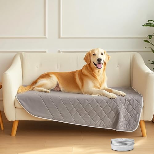 HZZON 10 Stück Hundeduft-Trainingsbox Aluminium Hundeduft Dosen mit Belüftung 60ml Geruchsbehälter Hundeduft Training Hundeduft Nase Geruchsbehälter für das Welpendufttraining Schnüffelhunde