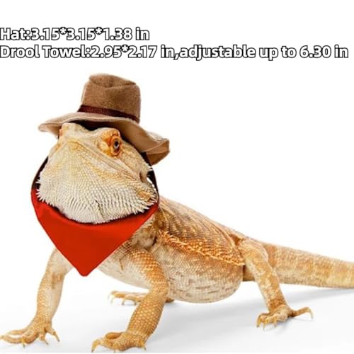 2 peças, chapéu de cowboy de dragão barbudo e bandana fantasia de réptil de lagarto de Halloween leg