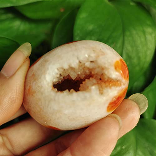 Seda natural y ágata en bruto en piedra de palma original para regalo del hogar 6