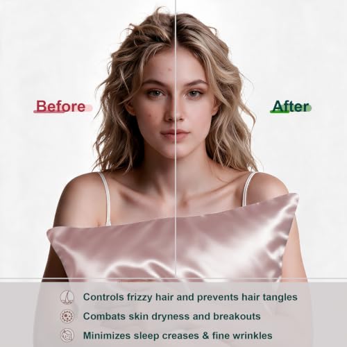 Image of LYSHIN Pink Silk Pillowcases 2 Pack Queen Size with Zipper | 19 Momme Mulberry Silk Pillow Cases for Skin and Hair, Anti-Acne, Hypoallergenic, Cooling, Beauty Sleep, Gifts for Women