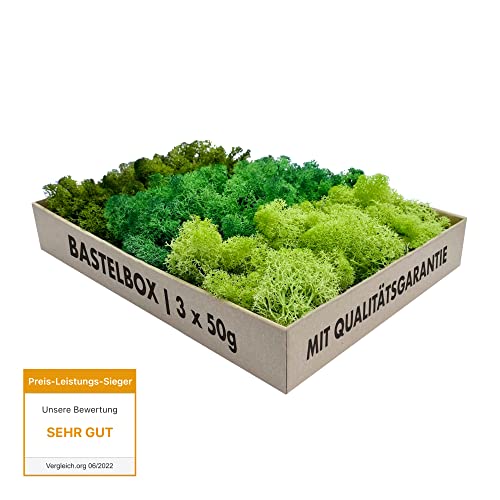 GJS Islandmoos Bastelbox 150 g – echtes, konserviertes Moos in DREI...