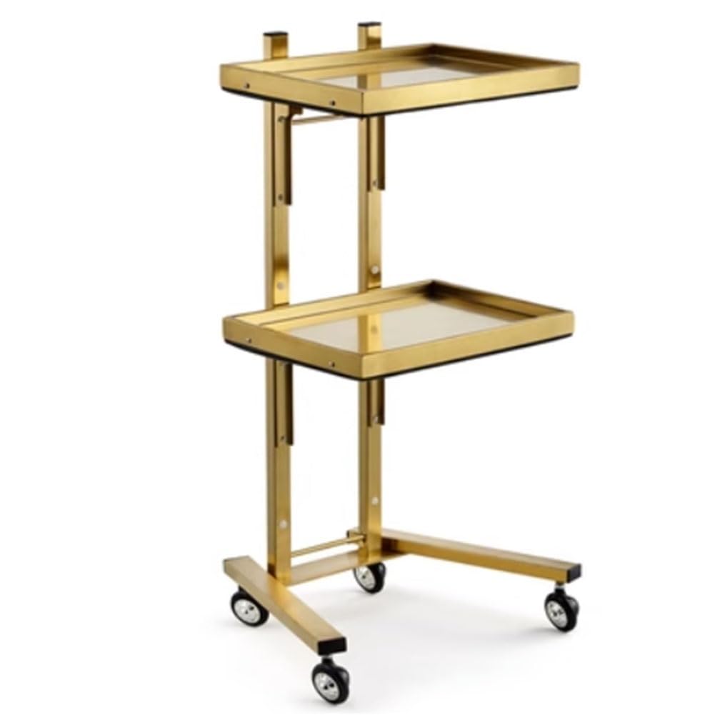 JKJZSALJ Beauty Salon Trolley Salon Station Folding Rolling Trolley Cart Salon With 2 Tiers Storage Tray For Instrument Tray Stand Salon Beauty Shop,Beauty,Gold,40x37x87cm