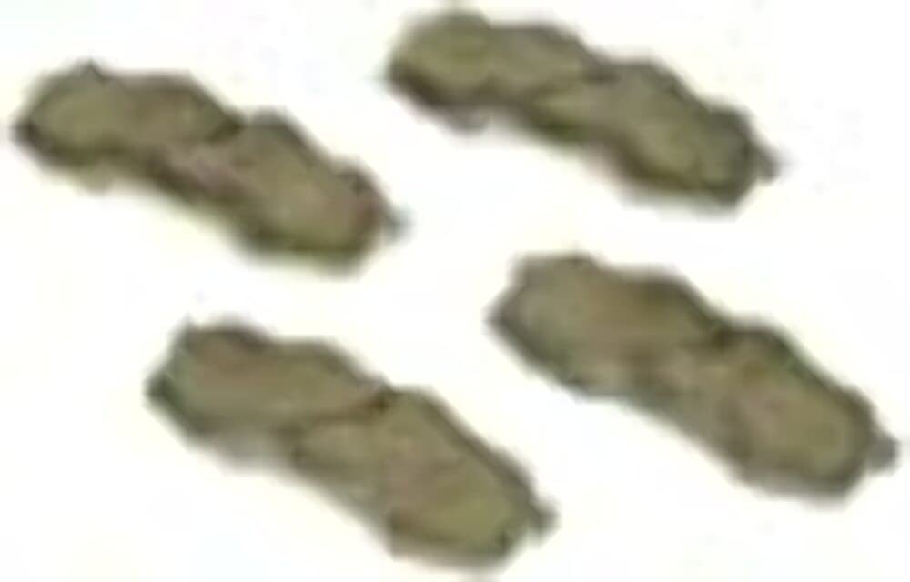 Wagner Brake OEX OEX606 Disc Brake Pad Set Premium Ceramic