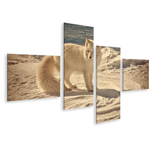 Renard arctique tableau sur toile nature pour décorer le salon
