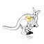 C-Kangaroo