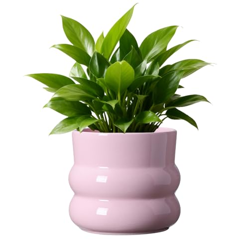 FUYHE 6 Inch Plant Pot Ceramic Planter Pot with Drainage Hole Indoor Planters for Herbs Plants Ceramic Flower Pots for Indoor/Outdoor Plants Home Office Garden Dcor Pink