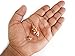 Cone Point with Round Design Copper Metal Pendulum, Healing Dowsing Reiki Chakra Divination Meditation Cronus Pendulum.