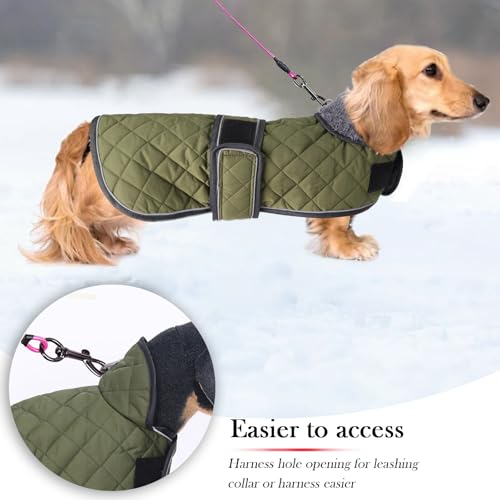 Geyecete - Warmer wintermantel für dackel Hunde,Hunde Winterjacken mit plüschfutter,Outdoor jacken mit verstellbaren gürtel und Kabelbaumloch,für mittelgroße und Kleiner dackel-Armee Grün-M