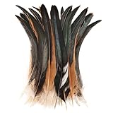 Colorful Rooster Tail Feathers-50PC 10-12inch Natural Long Rooster Tail Feathers Bulk (Natural)
