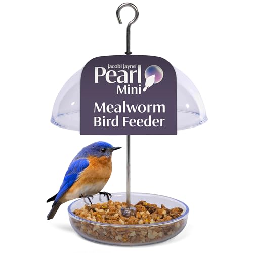 Bluebird Mealworm Feeder - Jacobi Jayne® Pearl Feeder Mini™ - Domed Small Bluebird Feeder - Live Mealworm Feeder Hanging for Outdoors and Backyards