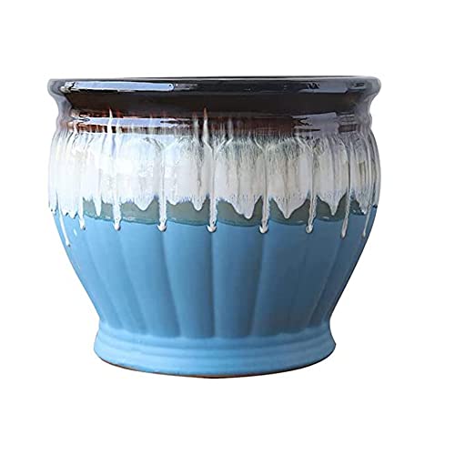Pot de fleurs avec trou de drainage pour éviter le pourrissement des racines