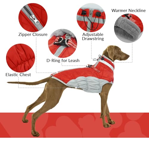 Hundejacke Winter, Hundepullover Mittelgroße Hunde Winterjacke Hund Wasserdicht Hundepullover Hundejacke Fleece Hundebekleidung Winter(Rot, M)