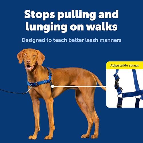 PetSafe Easy Walk No-Pull Dog Harness - Ultimate Harness to Help Stop Pulling - Pull-Free Walks - Take Control & Teach Better Leash Manners - Patented Martingale Loop Design - Royal Blue, Medium by PetSafe - Image 3