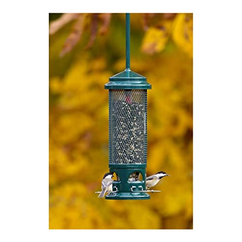 Brome Squirrel Buster Legacy Wild Bird Feeder #TOP3