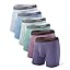 C7 - Multicolor - 6 Pack