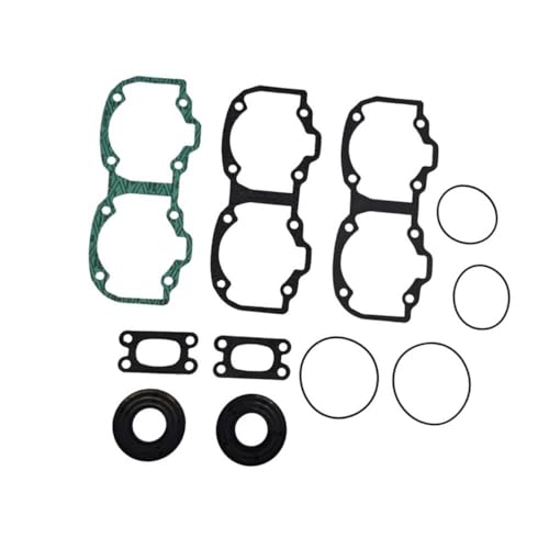 Jeu de joints de moteur complet pour Ski Doo MXZ 550X 06-09 en randonnée hivernale