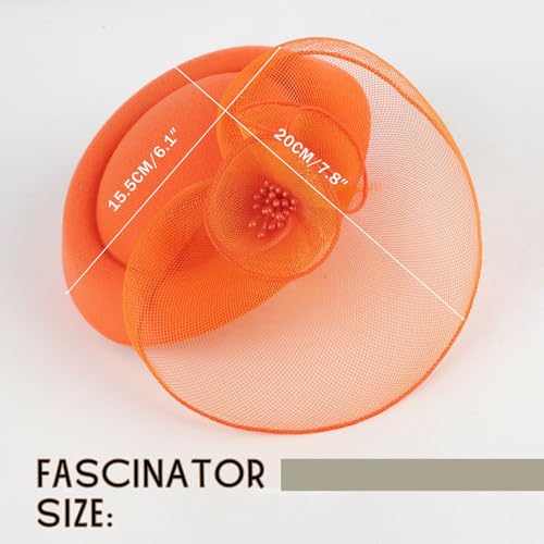 Image of DRESHOW Fascinator Hats for Women Cocktail Tea Party Hat Netted Pillbox Hat Vintage Derby Hats for Bridal Wedding