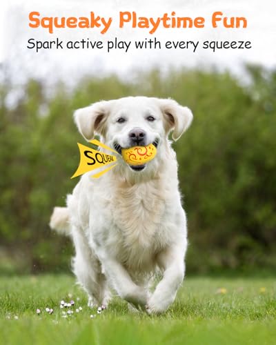 Jouet couineur à mâcher pour chien, idéal pour le jeu de lancer au parc