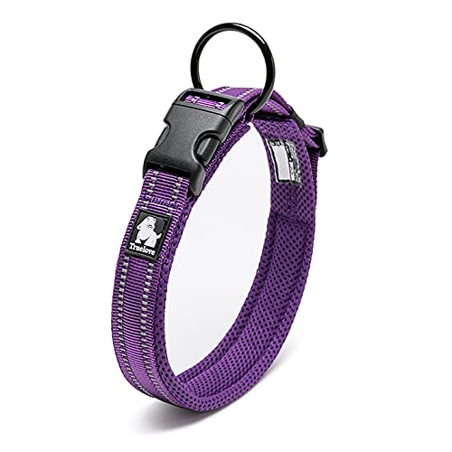 J&C Paradise   {KX p y 3M bV  lC ɂȂ \tgpbh ʋC v ȒP TRUELOVE (p[v, ?XXS)