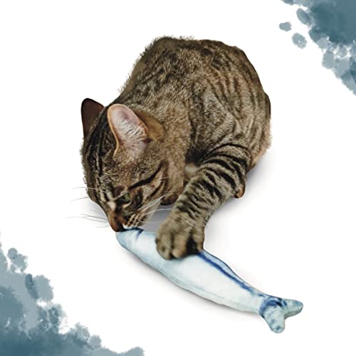 Pesce gatto gatto, pesce per gatti, giocattolo