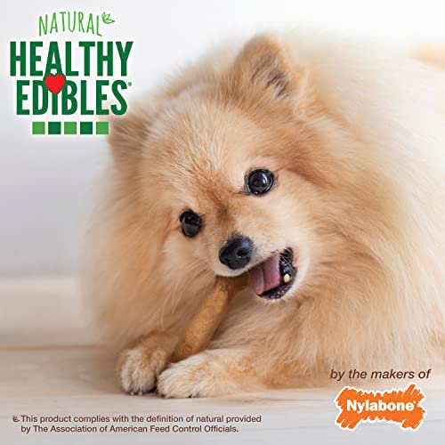 Image of Nylabone Healthy Edibles Natural Dog Chews Long Lasting Roast Beef Flavor Treats for Dogs, X-Small /Petite (2 Count) (Pack of 2)
