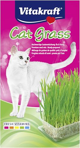 Vitakraft Cat Grass, mélange de graines pour herbe à chat, avec vitamines et minéraux (1x 120g)